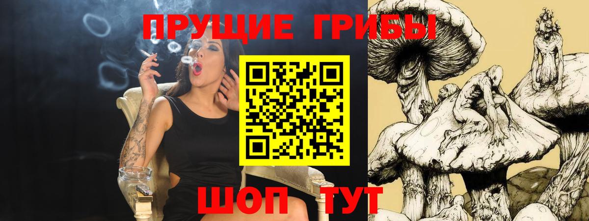 Советск  Галлюциногенные грибы Magic Shrooms  Вход с VPN 